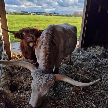 Апартаменты Bed&Bbq Longhornranch Акерслот Экстерьер фото